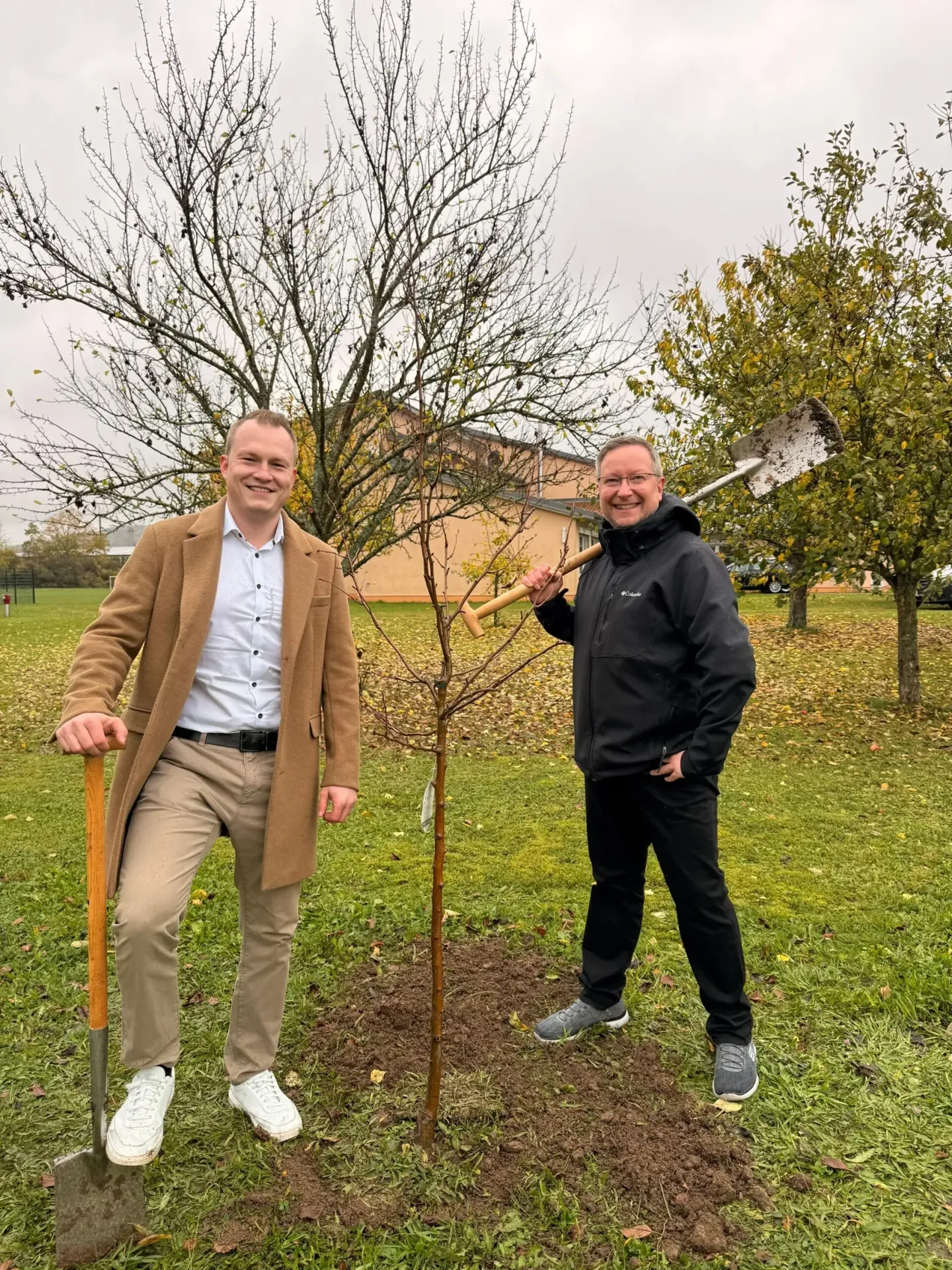 Gepflanzter Obstbaum auf dem Gelände der Grundschule in Marktrodach